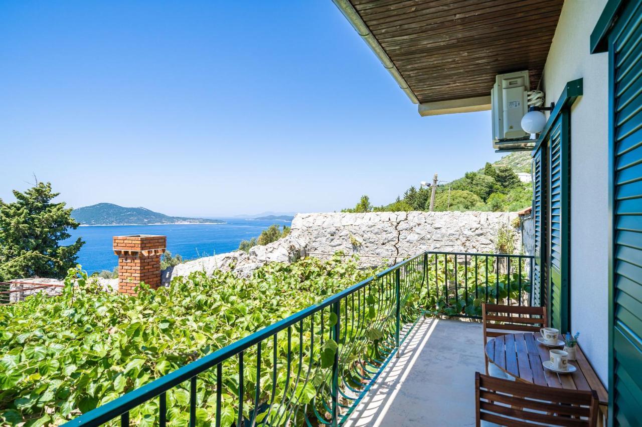 Ponte Apartment Orašac Extérieur photo